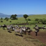 ngorongoro-crater2